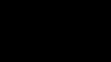 Twin (Tyviania)